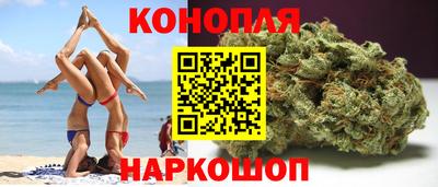 спиды Новозыбков