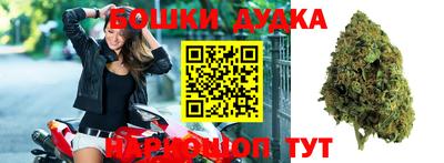 спиды Новозыбков