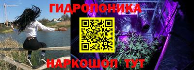 2c-b Новодвинск