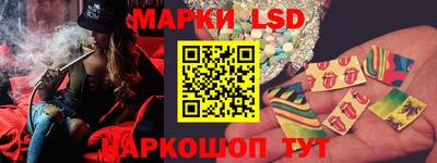 спиды Новозыбков